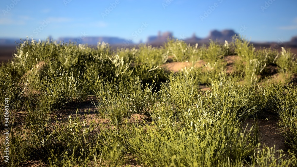 Grass landscape render 3D CGI plants blue sky and mountains Grass landscape render 3D CGI plants blue sky and mountains