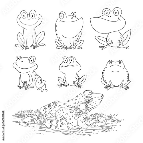 Set of various cartoon frog hand drawing character vector illustration.