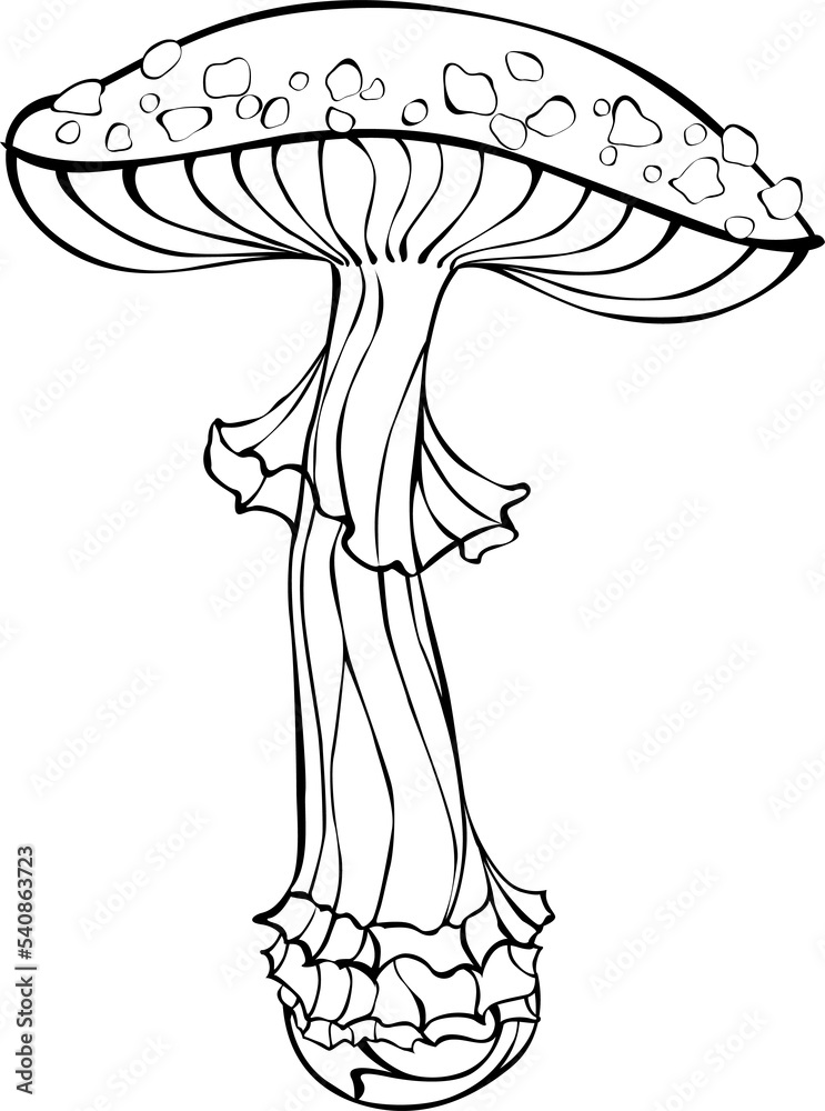 Outline fly agaric Outline fly agaric