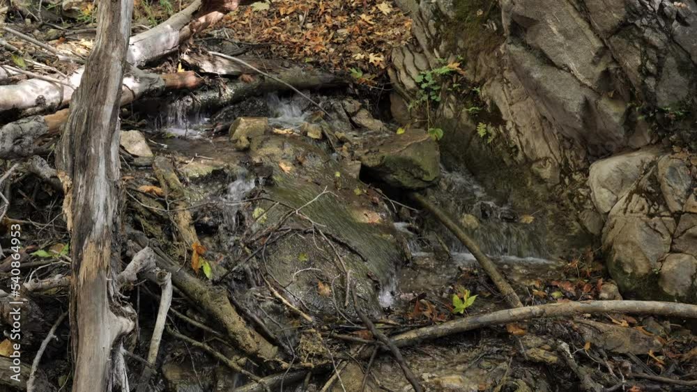 There are many small rivers in the mountains of California. Most of them dry up in summer, but some reappear after autumn rains. There are many small rivers in the mountains of California. Most of them dry up in summer, but some reappear after autumn rains.