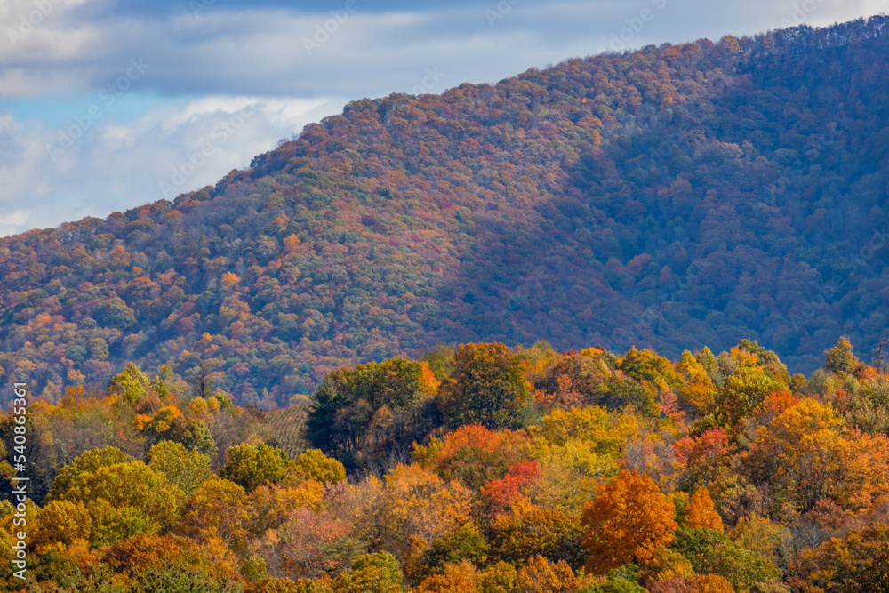Fall in Appalachia