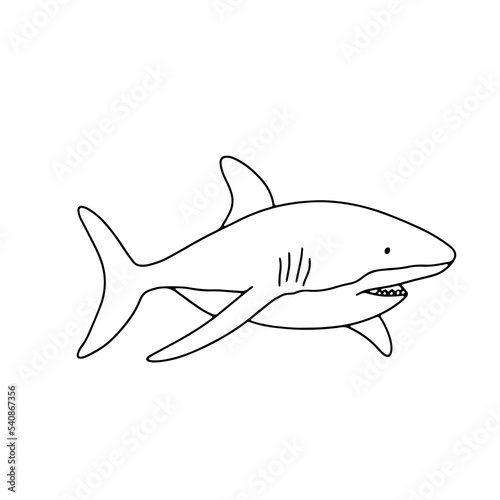 Vector swimming shark isolated on white background. Hand drawn outline doodle illustration ocean or underwater animal