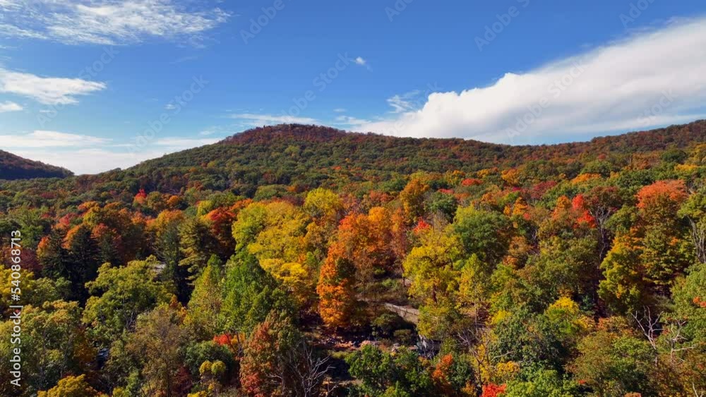 An aerial view high over colorful trees during the fall foliage in upstate NY. The camera dolly in and pan left over the beautiful scenery with blue skies and white clouds. An aerial view high over colorful trees during the fall foliage in upstate NY. The camera dolly in and pan left over the beautiful scenery with blue skies and white clouds.