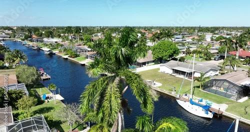Beautiful drone shot of palm trees on sunny day by river in Florida photo