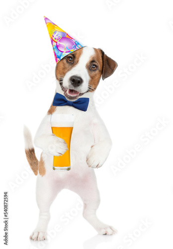 Happy Jack russell terrier puppy wearing tie bow and party cap holds mug of beer. isolated on white background © Ermolaev Alexandr
