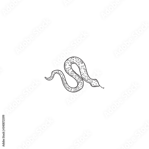Tatto Design Very Cool Concept