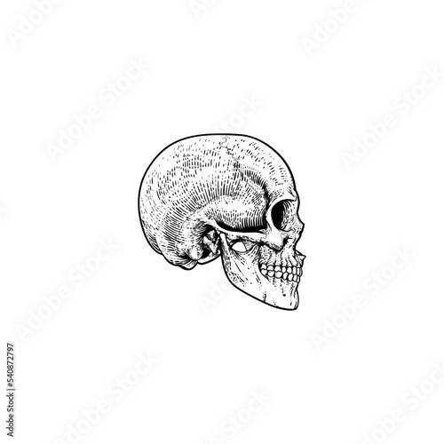 Tatto Design Very Cool Concept