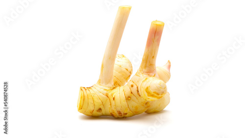 Fresh galangal root  isolated on white background with clipping path and full depth of field. Side view.