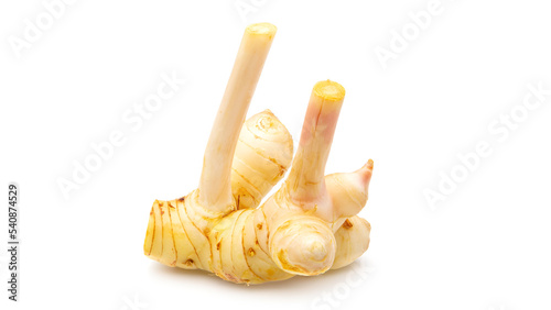 Fresh galangal root  isolated on white background with clipping path and full depth of field. Side view.