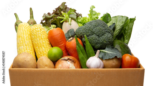 Set of fresh vegetables with salad leaf  Isolated on white background .Package design element with clipping path.
