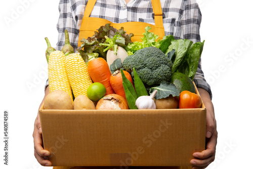Hands holding Set of fresh vegetables with salad leaf  Isolated on white background .Package design element with clipping path.