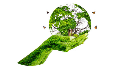 globe in hand Isolate on transparent background PNG file