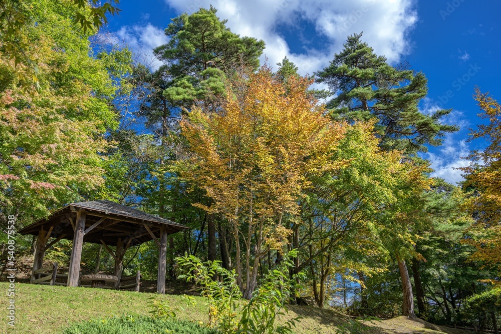 長野県・茅野市 秋の永明寺山公園の風景 長野県・茅野市 秋の永明寺山公園の風景