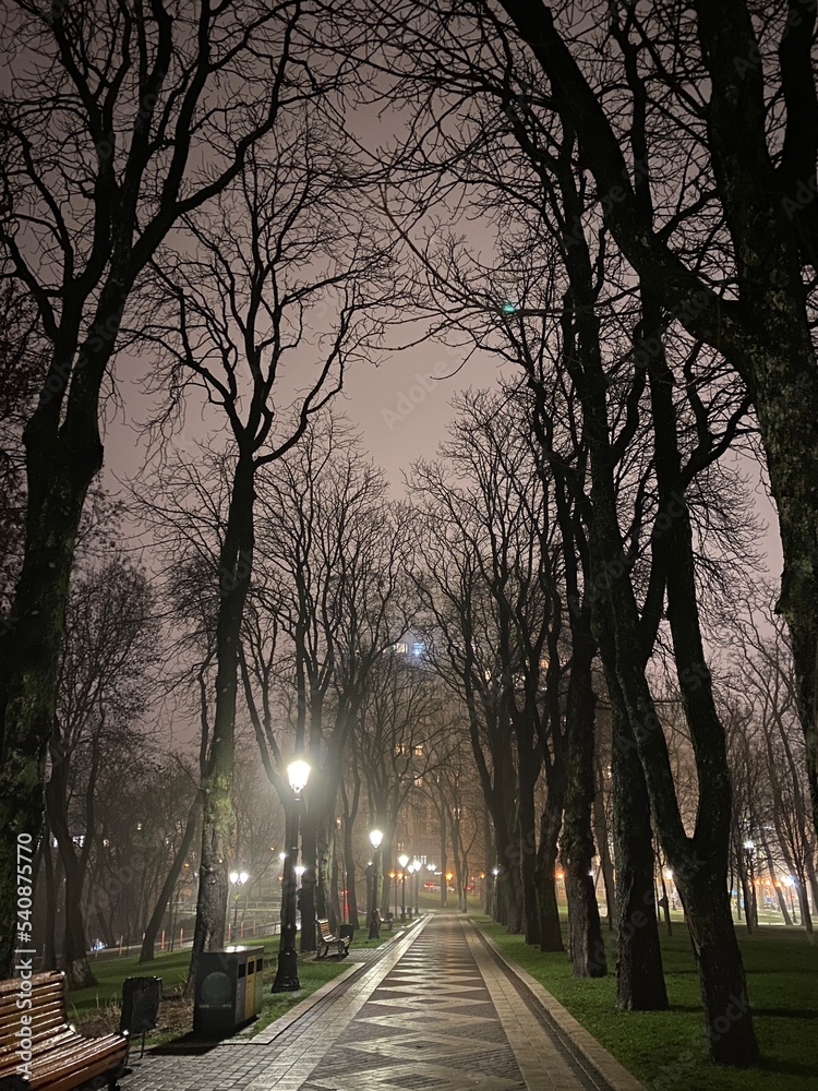 Obraz premium night city landscape