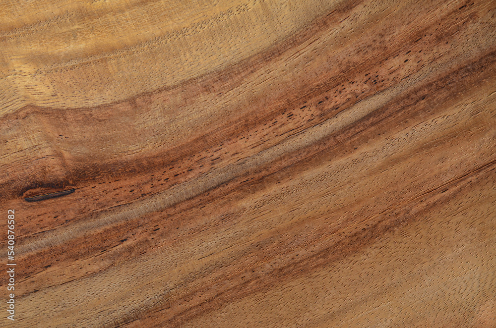 Wood texture. Lining boards wall. Wooden background. pattern. Showing growth rings Wood texture. Lining boards wall. Wooden background. pattern. Showing growth rings
