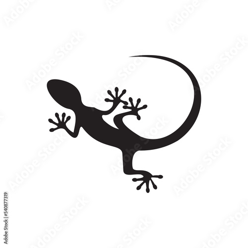 Gecko icon vector illustration sign