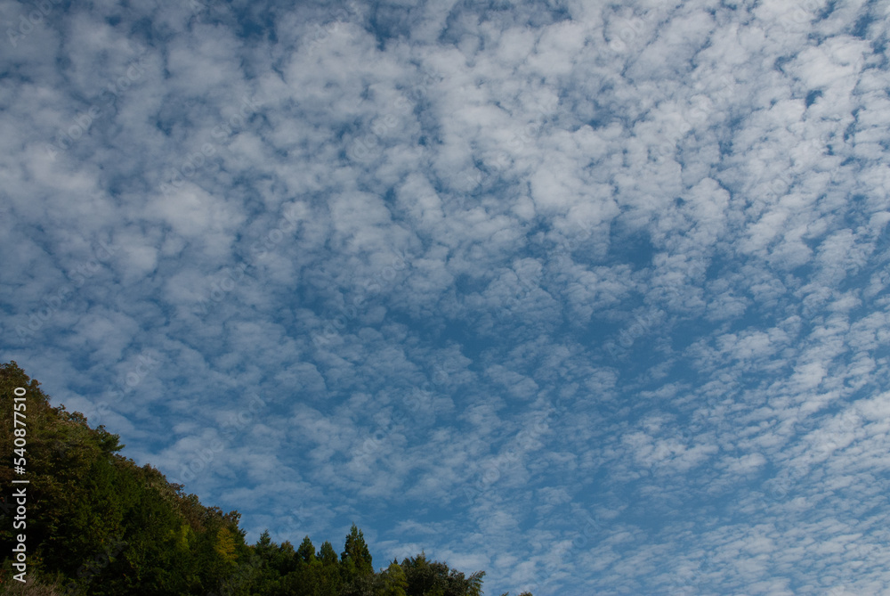青空に浮かぶ白い雲 青空に浮かぶ白い雲