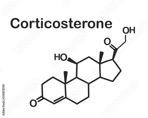 Structural chemical formula of corticosterone isolated on white background.