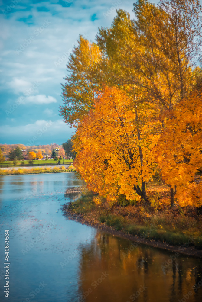 Colorful trees in autumn on the river bregueu against the blue sky. Autumn landscape Colorful trees in autumn on the river bregueu against the blue sky. Autumn landscape
