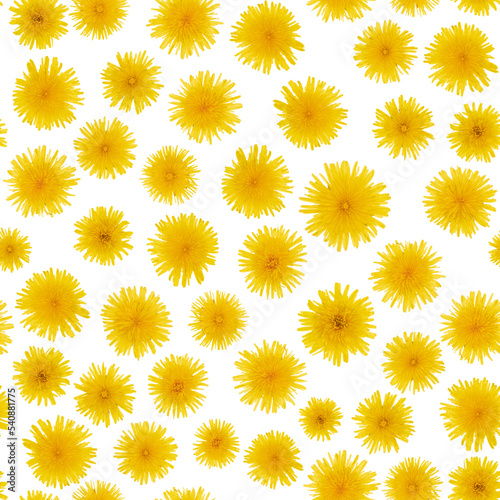seamless pattern with yellow dandelions