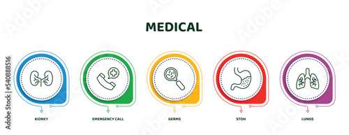 editable thin line icons with infographic template. infographic for medical concept. included kidney, emergency call, germs, stoh, lungs icons.