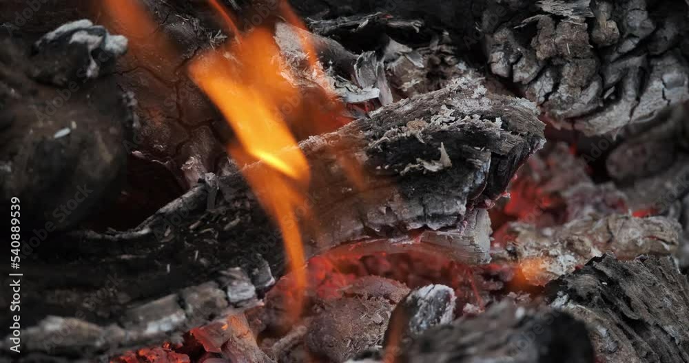 Campfire with firewood and flames Campfire with firewood and flames