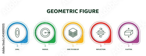 editable thin line icons with infographic template. infographic for geometric figure concept. included oval, radius, side to side of a cube, reflection, flatten icons.