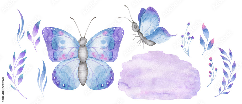 Watercolor set with blue and violet butterflies, background and forest foliage