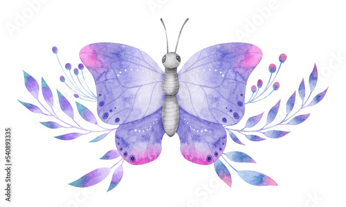 Photography Watercolor arrangement with violet butterfly and delicate foliage