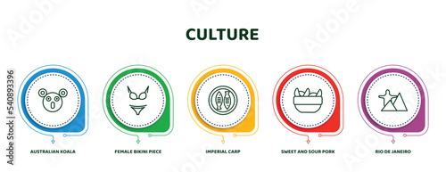 editable thin line icons with infographic template. infographic for culture concept. included australian koala, female bikini piece, imperial carp, sweet and sour pork, rio de janeiro icons. photo
