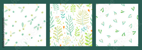 Set of green herbs seamless pattern. Leaves, wildflowers and berries. Vector illustration with different plants and branches on white background.