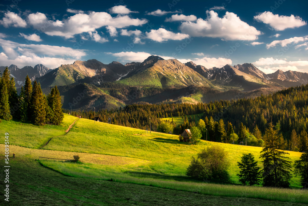 A panorama view of the Tatra Mountains in summer.  Meadows, pastures, sunset, Poland. Widok na Tatry, góry, łąki, hale, lato, Poland, Podhale, polana szymkówka.  - obrazy, fototapety, plakaty 