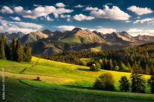 A panorama view of the Tatra Mountains in summer. Meadows, pastures, sunset, Poland. Widok na Tatry, góry, łąki, hale, lato, Poland, Podhale, polana szymkówka. 