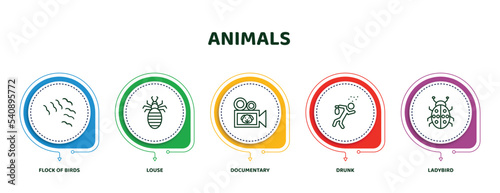 editable thin line icons with infographic template. infographic for animals concept. included flock of birds, louse, documentary, drunk, ladybird icons.