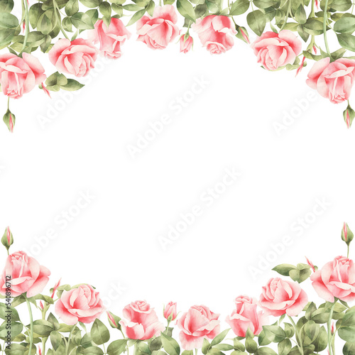 Watercolor pink roses frame isolated.