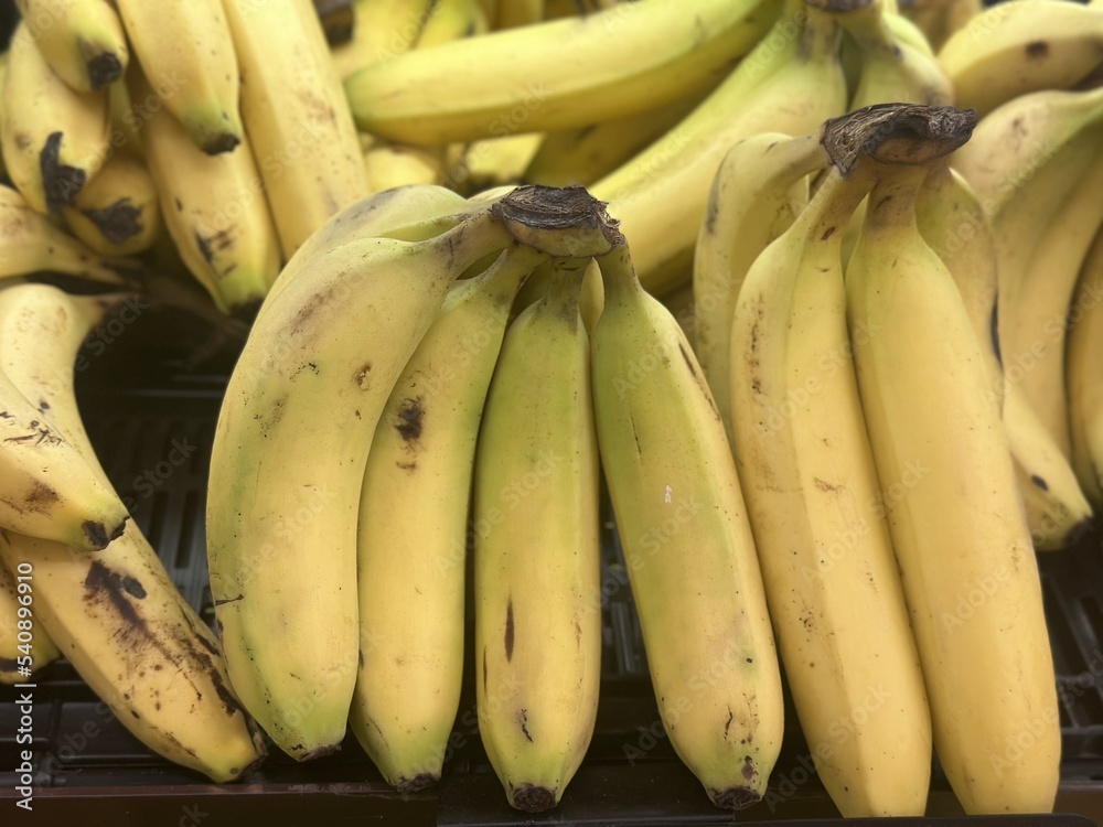 lots of banana fruit together