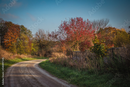Jesienny krajobraz z wiejską drogą. 