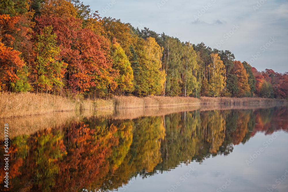 Jezioro w Wierzonce jesienią 