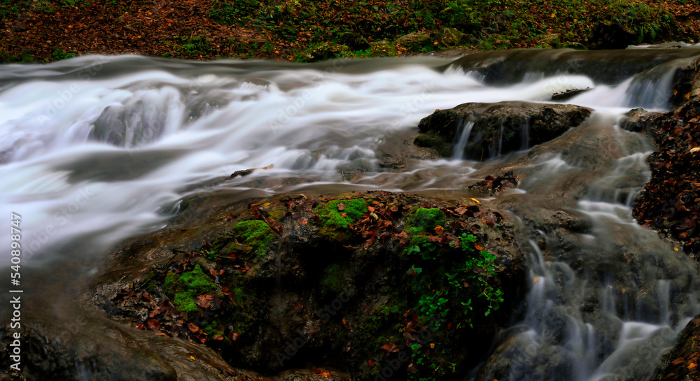 Naklejka premium waterfall in the forest