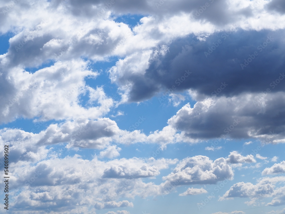 Obraz premium 青空と白い雲