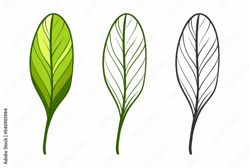 Green Leaves Vector Green Leaves Vector