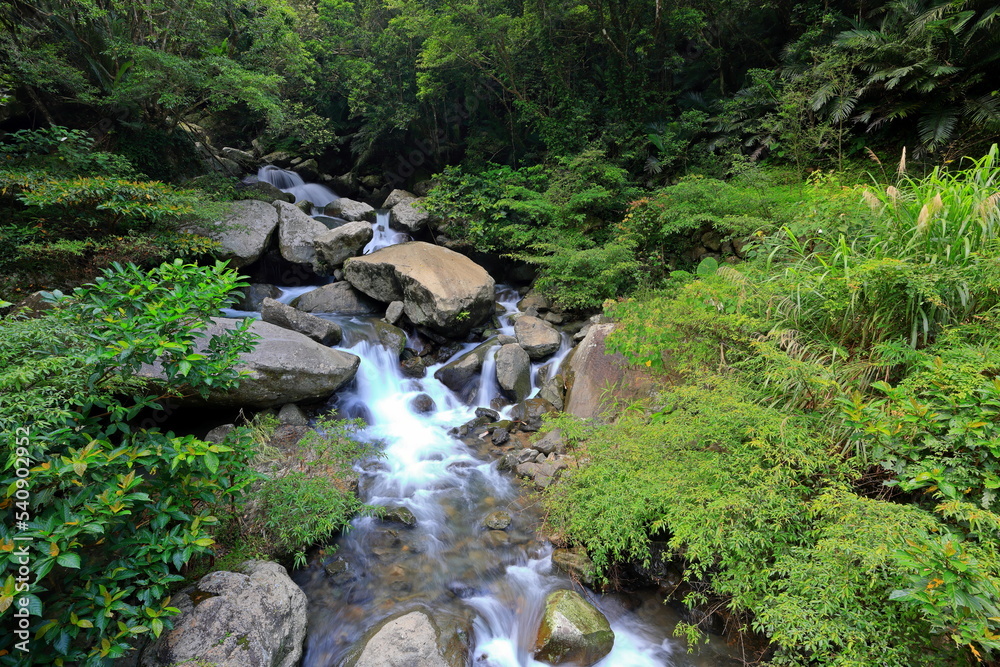  the Manyueyuan National Forest Recreation Area in New Taipei City, Taiwan