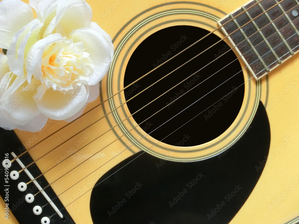 Obraz premium フォークギターと造花の白い花