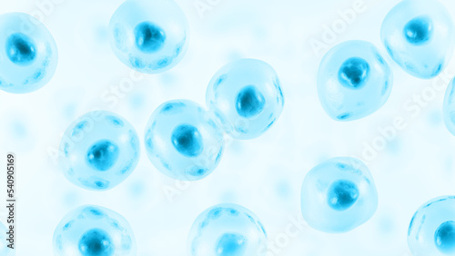 Fotografie Embryonic stem cell. Human cell. 3d illustration.