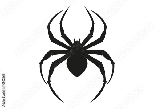 Black Spider Clipart. Arachnia. Illustration of black spider