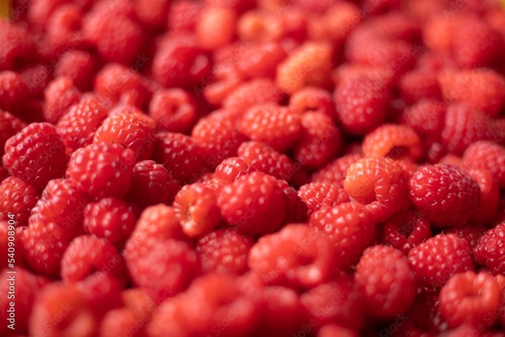 Raspberry - red fresh berryes background Raspberry - red fresh berryes background