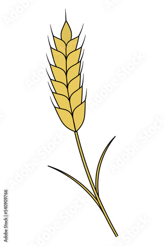 Ear of wheat. Golden rye. Cereal crop necessary for the manufacture of flour. Color vector illustration. Isolated background. Cartoon style. Summer harvest. Seasonal product. Idea for web design.