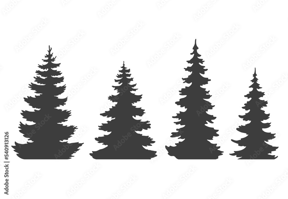 Obraz premium Forest tree silhouettes. Set of realistic pine trees