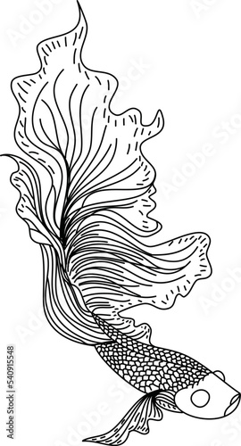 Outline Betta fish vector.beautiful Fighting fish, Line art Hand drawing Siamese fighting fish
