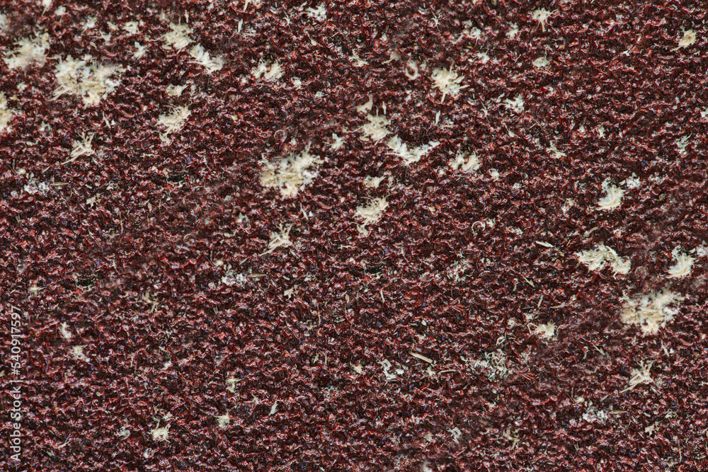 Macro image of sandpaper with chunks of wooden shavings stuck in a texture Macro image of sandpaper with chunks of wooden shavings stuck in a texture